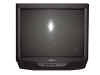 Sony TV.JPG (34359 bytes)