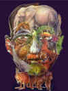 coolface.jpg (97723 bytes)