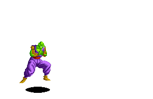 piccolo2.gif (22730 bytes)