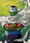 piccolo.jpg (21416 bytes)